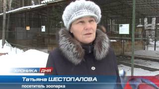 Первоуральский зоопарк перешёл на зимний режим работы