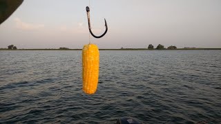 УЛОВИСТАЯ  СНАСТЬ НА КАРПА И САЗАНА