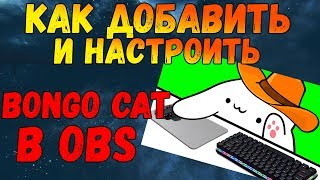 BONGO CAT В OBS | КАК ДОБАВИТЬ | ГАЙД