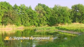 Северский Донец май 2015