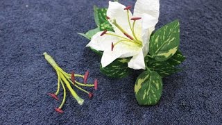 Тычинки для цветов