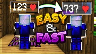 How To Get MORE HEALTH! (Hypixel Skyblock Guide)