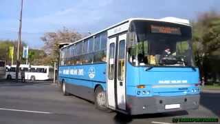 Ikarus C80 megy Téglásra [HD]