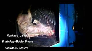 Pig carcasses shredder/Animal dead bodies shredder/Animal carcass shredder/Animal corpse shredder