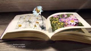 Цитаты про жизнь с глубоким смыслом 2