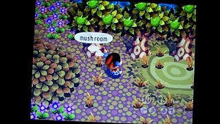 Animal Crossing Gamecube 100%! #57: Mushroom Picking!
