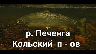 ПУТЕШЕСТВИЕ НА КОЛЬСКИЙ П - ОВ    Р. ПЕЧЕНГА