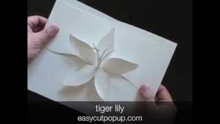 CRAFTS TIGER LILY- Kirigami Pop-up Card