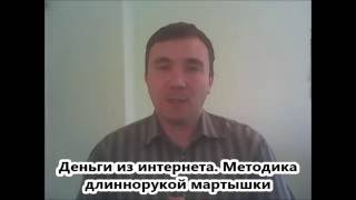 Деньги из интернета.  Методика длиннорукой мартышки (2016)