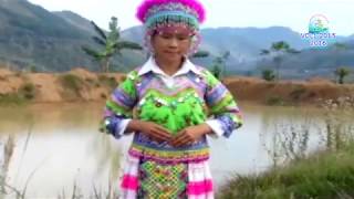 Paj mab ntoos tawg (Niam Tuam Leej) xyoo 2015-2016