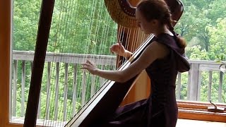 Suzuki Book 4 Harp Recital