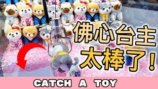 超級佛心夾娃娃店！台主還會幫你把娃娃排到搶位？？  | 夾娃娃挑戰 #98 | Catch A Toy