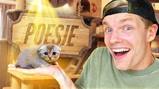 WANNEER KOMT DE POES? - Minecraft Survival #257