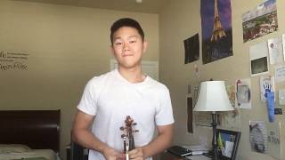 "Too Good at Goodbyes" - Sam Smith (Violin Cover)