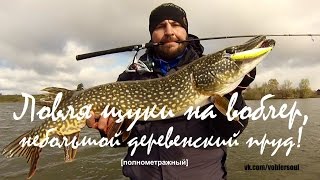 Ловля щуки на воблер в мае. Твичинг на озере. Видео отчет от 10.05.2017.