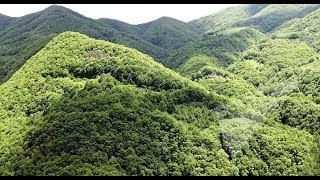 Предсказания о Нагорном Карабахе