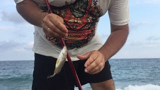 Рыбалка на черном море с берега.Ловим морского карася на донку. Ловля ласкиря в Абхазии.