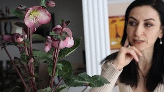 Ու՞մ եմ Տեսել Երազում - Դրսի Սուրճի Սեզոնը - Heghineh Vlog 469 - Mayrik by Heghineh