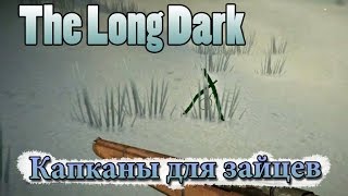 The Long Dark #28 Капканы для зайцев