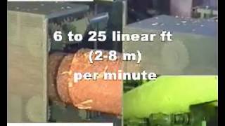 Woodlandia log through-pass profiler RLM-320