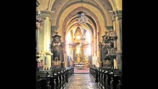 Ton Koopman plays Bach (2/8) BWV 543, 562, 531, 572, 570