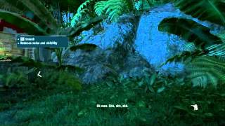 Far Cry 3 PC Gameplay Nvidia Geforce 210 2GB RAM