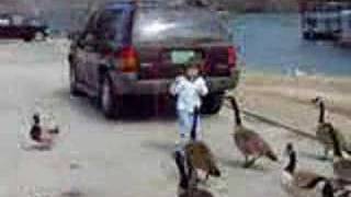 GIRL FEEDING GEESE