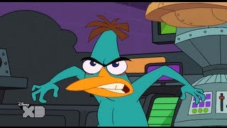 Phineas and Ferb - Perrysodes - Doofapus