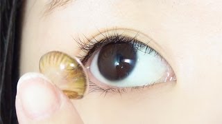 How to : Open, Store, Clean, Check, Put On, Remove and Re-wetting Contact Lens