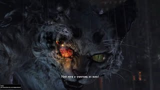 Nioh Бьякко