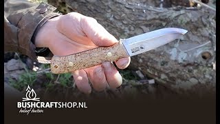 Casström Woodsman Curly Birch