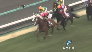 2012年 阪神大賞典 オルフェーヴル激走