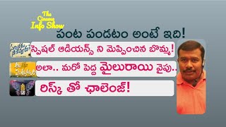 Sarileru Neekevvaru 12 Days Collections | Ala Vaikunthapurramuloo |  Disco Raja Pre Talk | Mr. B