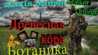 Stalker Online Древесная кора