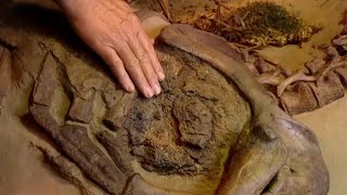 Dinosaur CT scan - Walking with Dinosaurs - BBC