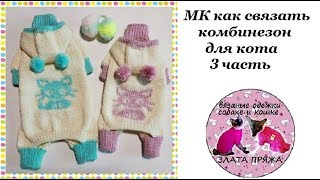 36. МК Как связать комбинезон коту ч3