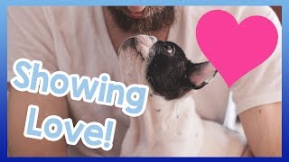 How to Show Your Dog Love! How to Let Your Dog Know You Love Them!