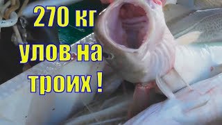 РЫБАЛКА /БАРЕНЦЕВО МОРЕ /ТЕРИБЕРКА
