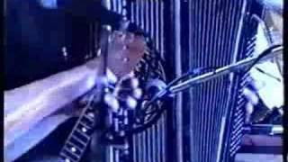 Этот русский рок-н-ролл(8 рок-фестиваль 1991)