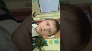 Чем дети занимаются во время урока когда учитель отошёл?