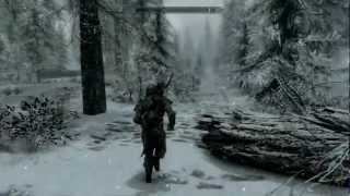 The Elder Scrolls V: Skyrim AMD Phenom II X4 955 BE & GTS 450 Gameplay [HD]