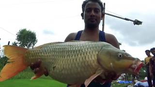 Big Common Carp Fishing Videos By Fish Watching