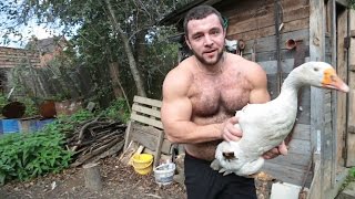 СЕЛЬСКИЙ КАЧОК! Жизнь без пафоса