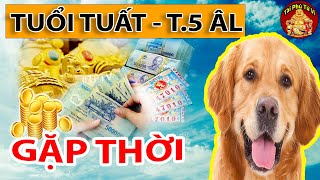 Tiết Lộ Những Bí Mật Động Trời Giúp Tuổi Tuất Đổi Vận Phát Tài, Trả Sạch Nợ Tháng 5 ÂL