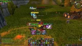 WoW - 5.4 Unholy Dk Pvp Guide - Talents / Glyphs / Priority