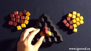 Инсайд. Обзор настольной игры от Игроведа