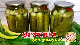 ОГУРЦЫ на Зиму БЕЗ УКСУСА | Хрустящие, пряные, с приятной пикантностью!