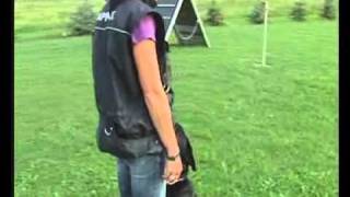 ADRK Rottweil Süd e.V- Fazination Rottweiler