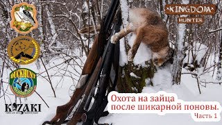 Охота на зайца после шикарной поновы.  Часть 1