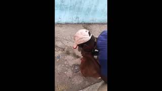 MOJZA OF ALLAH || MIRACLE OF ALLAH IN INDIA